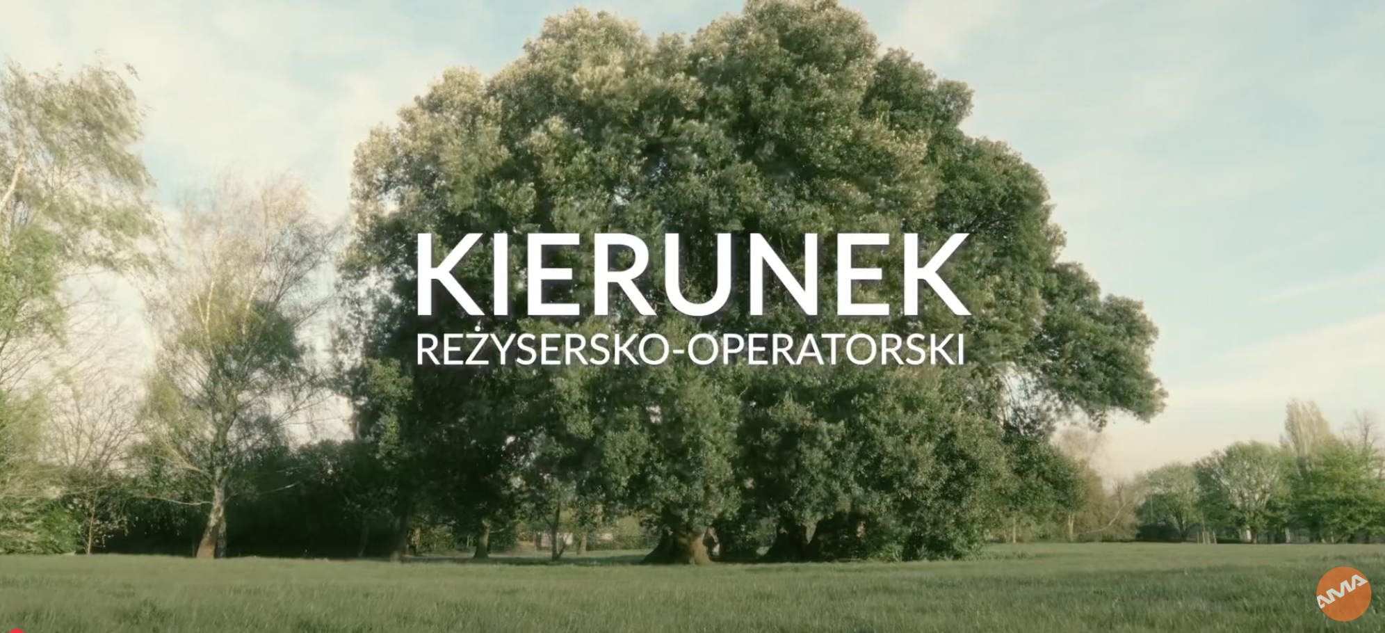 Majestatyczne drzewo w parku otoczone zielenią i światłem słonecznym